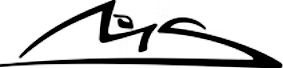 Michael Schumacher signature logo